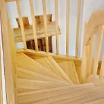 Apartment Baumhaus Baum 4