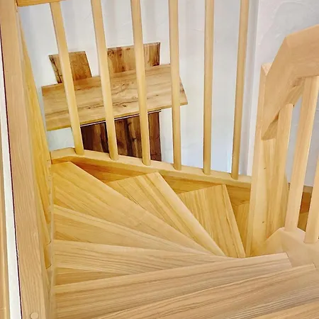 Daire Baumhaus Baum 4