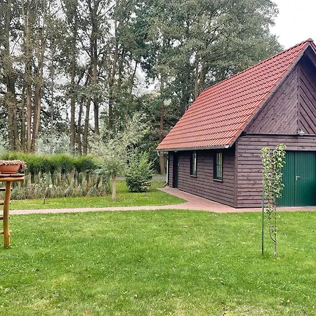 Baumhaus Baum 4